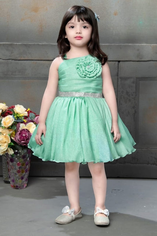 Girls Party Wear Frogs
